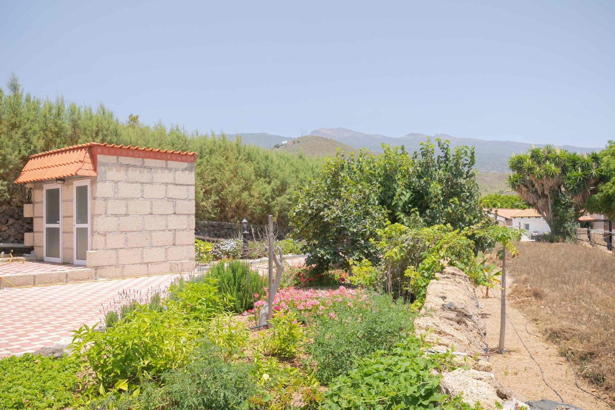 Apartamento Wayra Granadilla De Abona Exterior foto